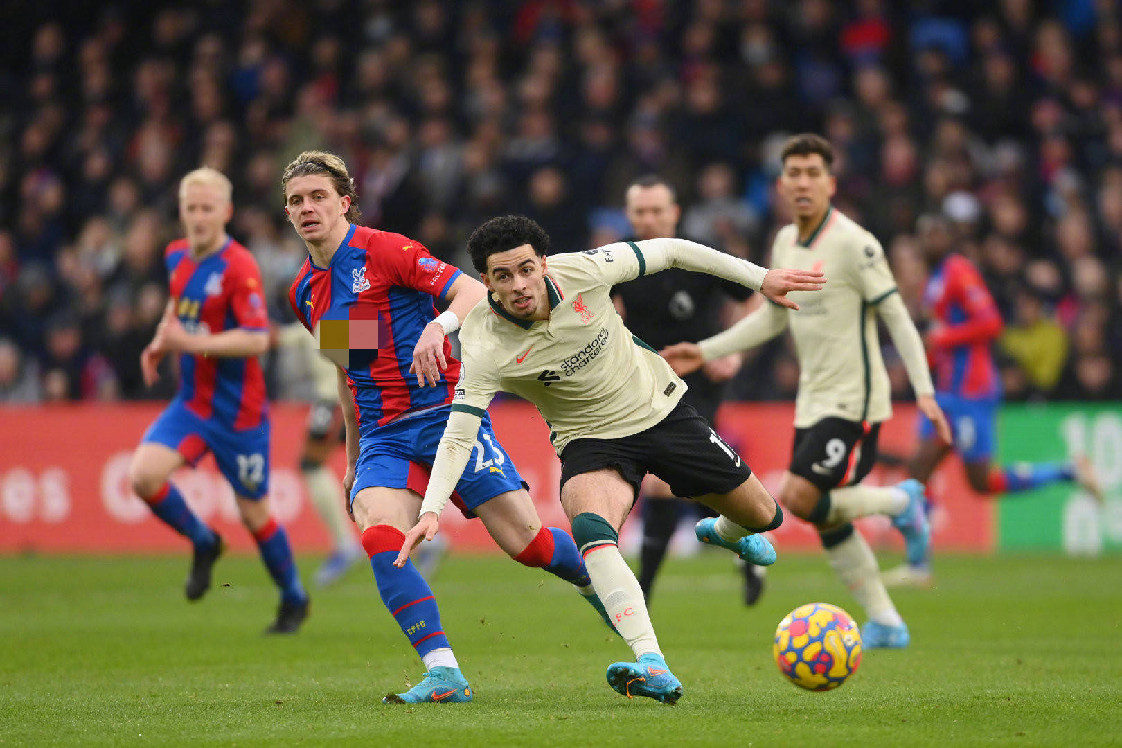 作为一个在 作为一个在